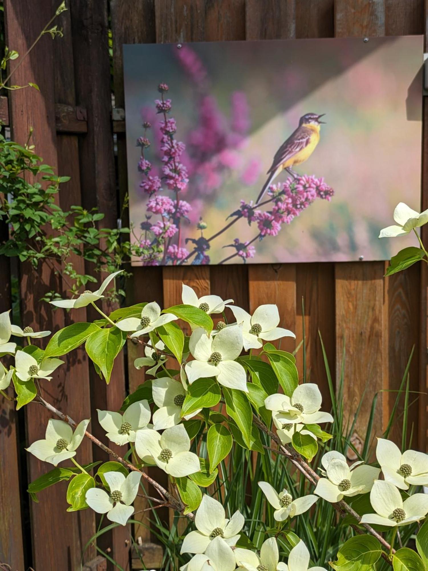 Ferienwohnung Zum Wenning Mit Garten In Stadtlohn Bagian luar foto
